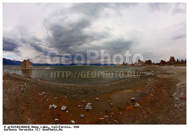 ����������, ����� ����