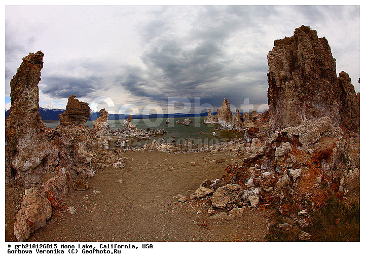 ����������, ����� ����