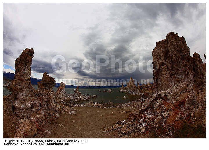 ����������, ����� ����