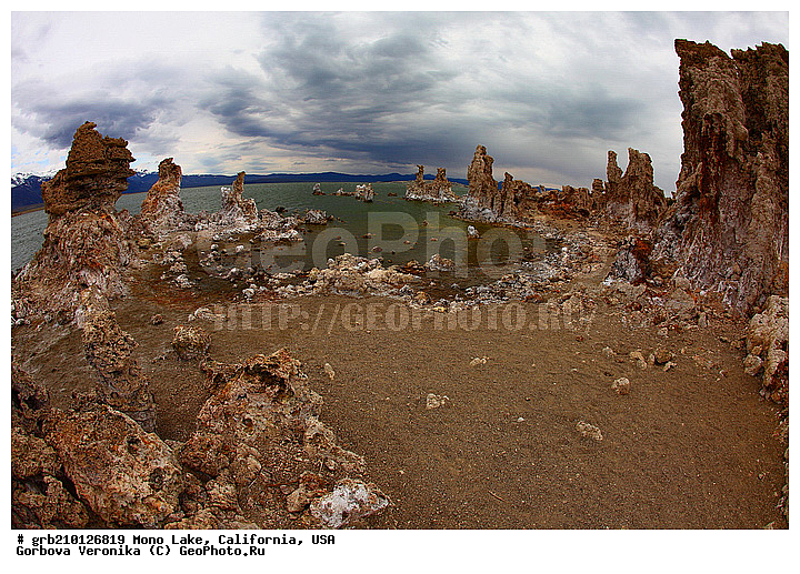 ����������, ����� ����