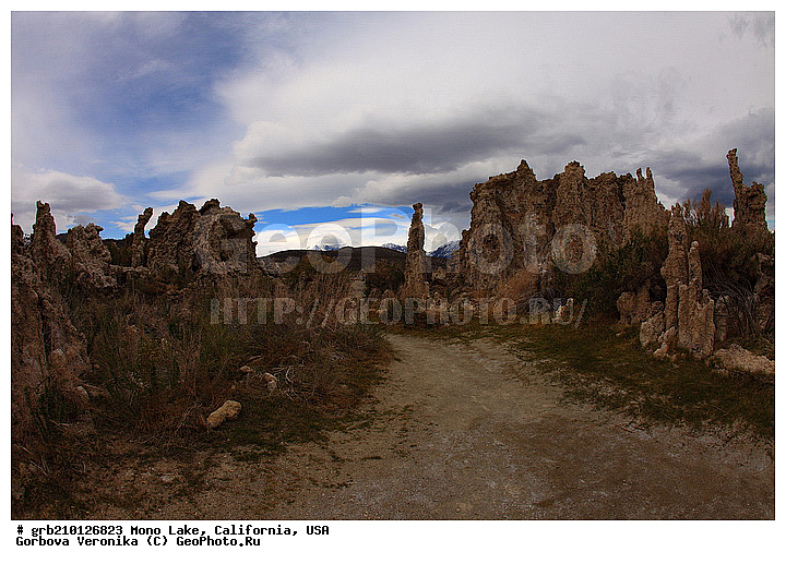 ����������, ����� ����