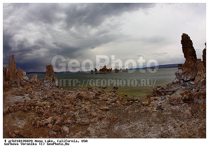 ����������, ����� ����