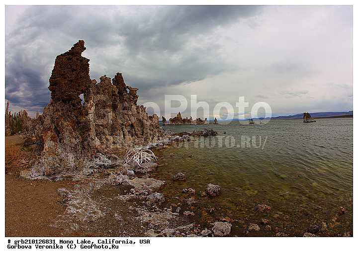 ����������, ����� ����