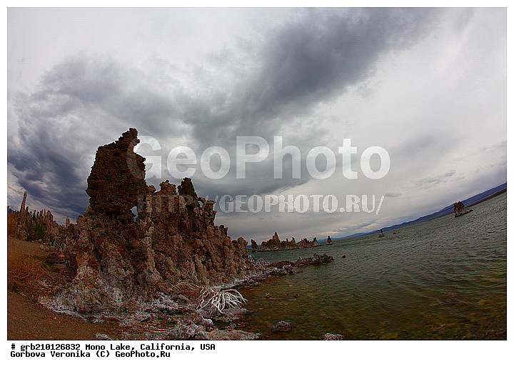 ����������, ����� ����