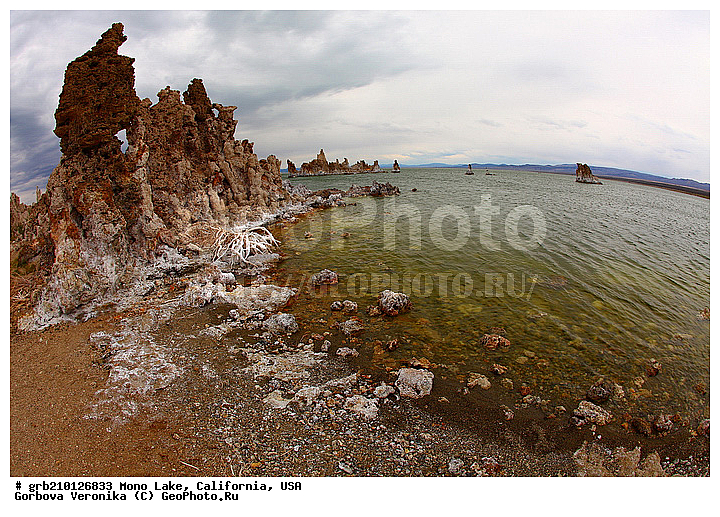 ����������, ����� ����