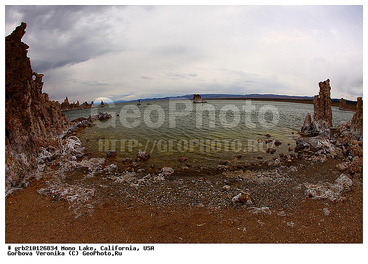 ����������, ����� ����