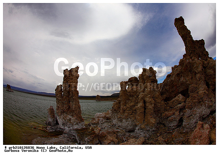 ����������, ����� ����