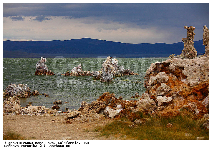 ����������, ����� ����