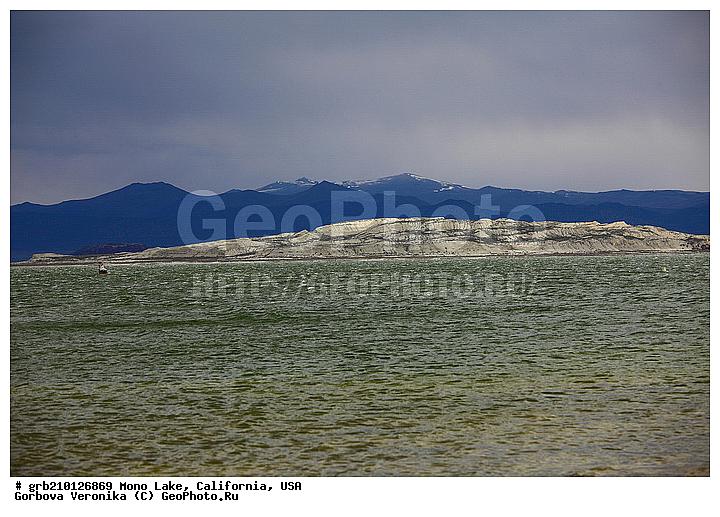 ����������, ����� ����