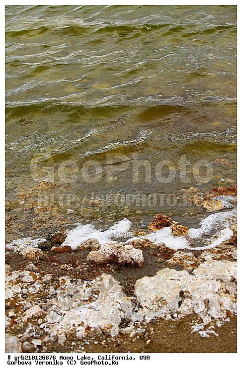 ����������, ����� ����