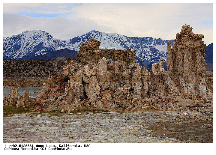 ����������, ����� ����