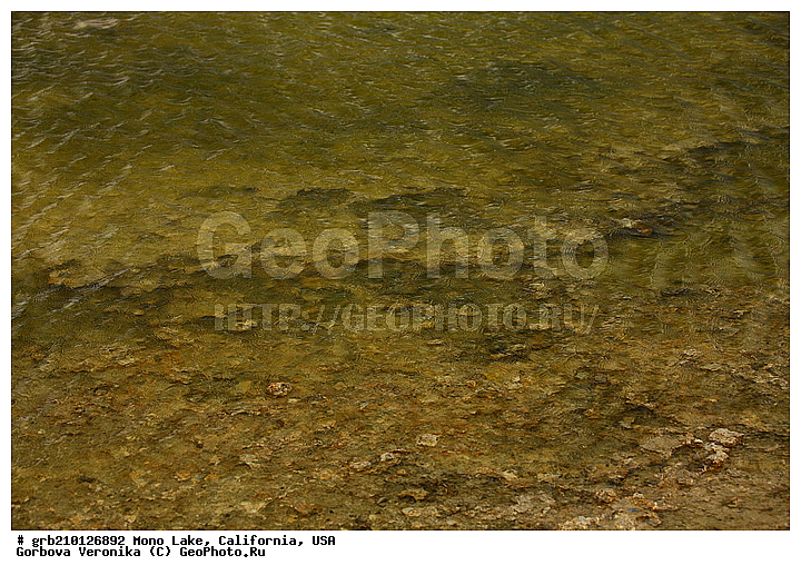 ����������, ����� ����