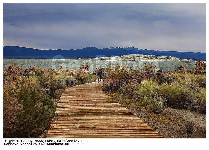 ����������, ����� ����