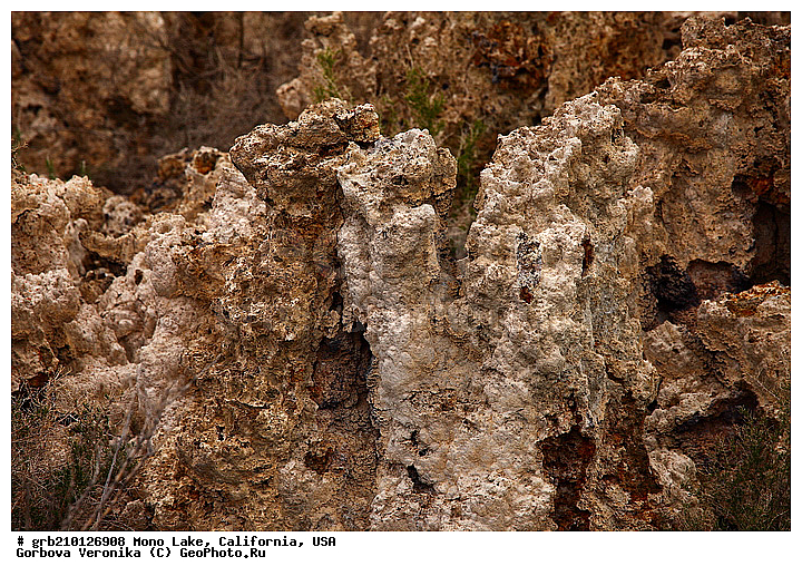 ����������, ����� ����