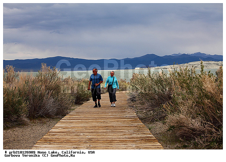 ����������, ����� ����