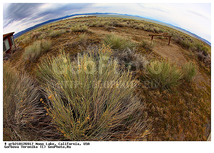 ����������, ����� ����