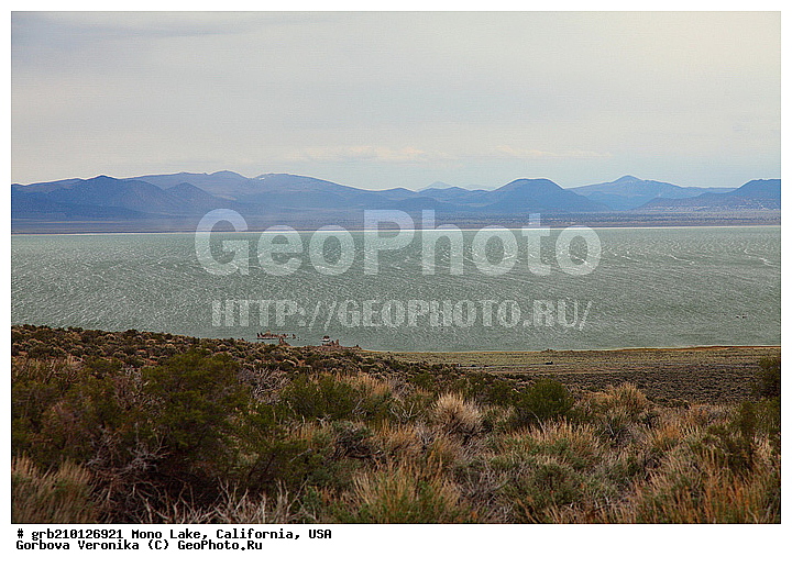 ����������, ����� ����