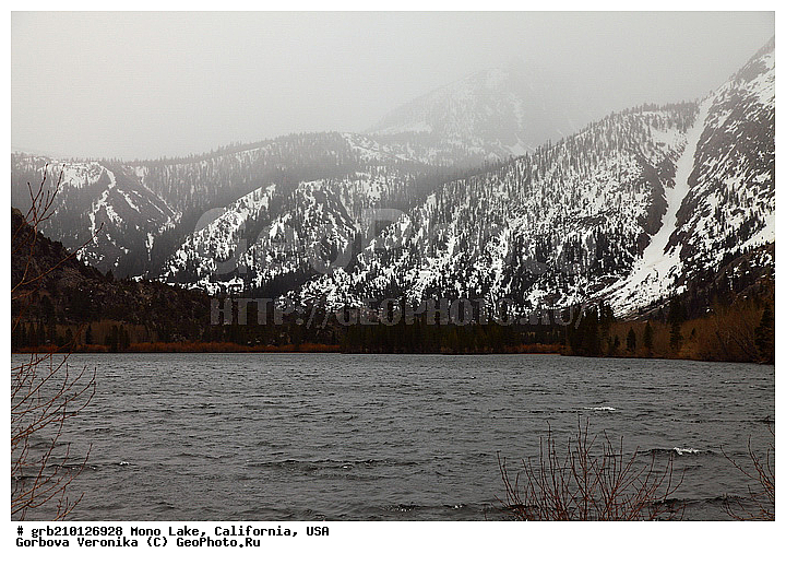 ����������, ����� ����