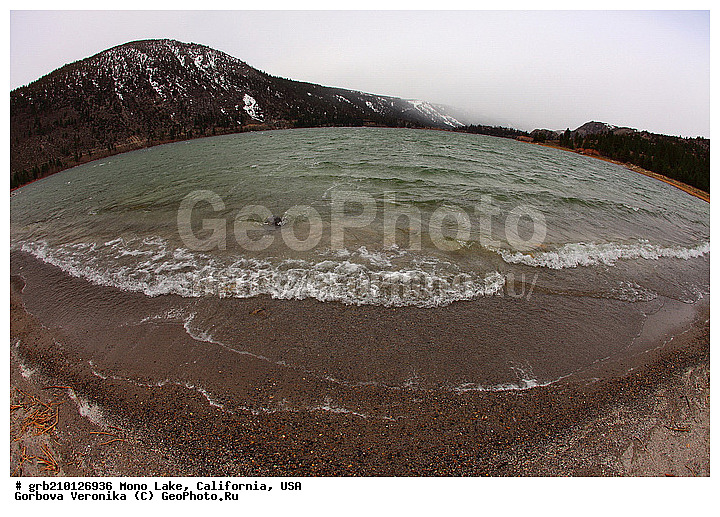 ����������, ����� ����