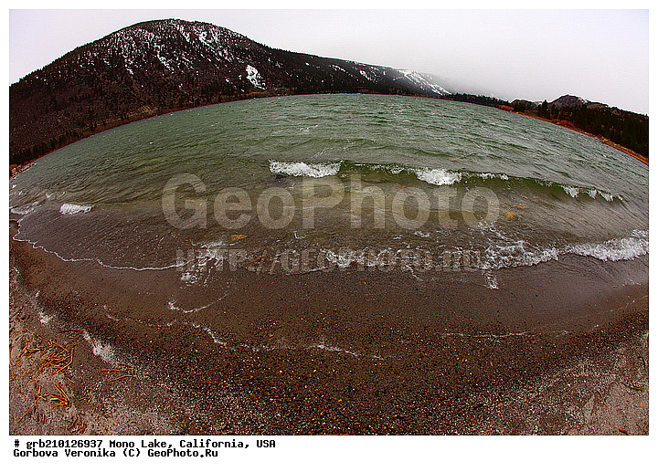 ����������, ����� ����