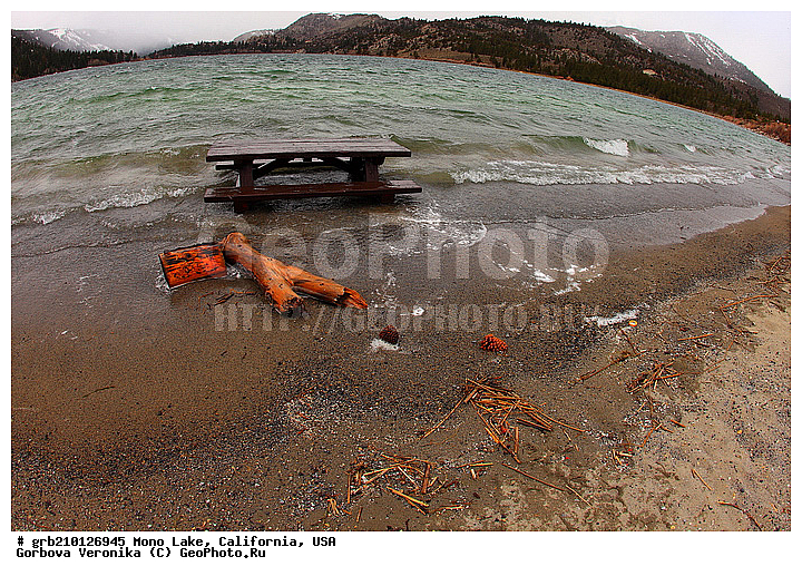 ����������, ����� ����