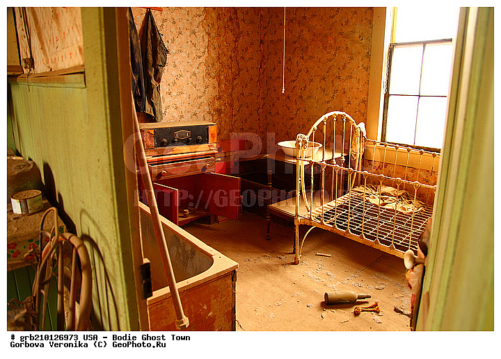 ����, ������� ���������, ����������, ����, ���, ������ ������, �����-�������, ������������