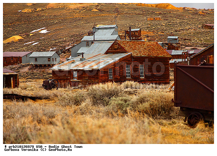 ����, ������� ���������, ����������, ����, ���, ������ ������, �����-�������, ������������