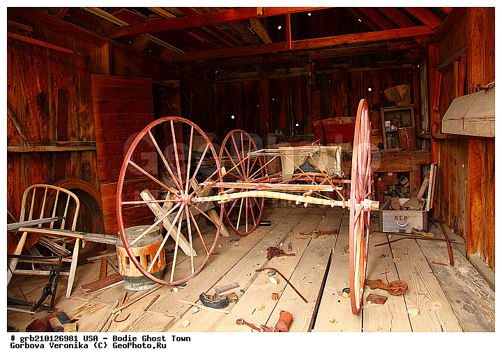 ����, ������� ���������, ����������, ����, ���, ������ ������, �����-�������, ������������