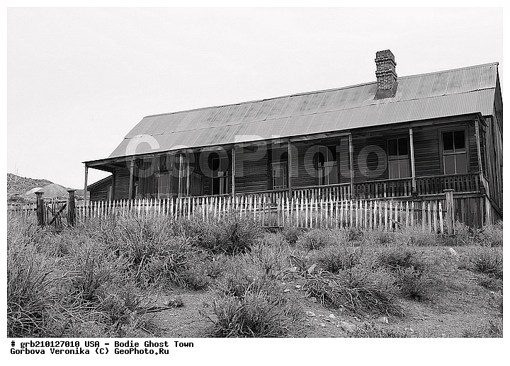 ����, ������� ���������, ����������, ����, ���, ������ ������, �����-�������, ������������