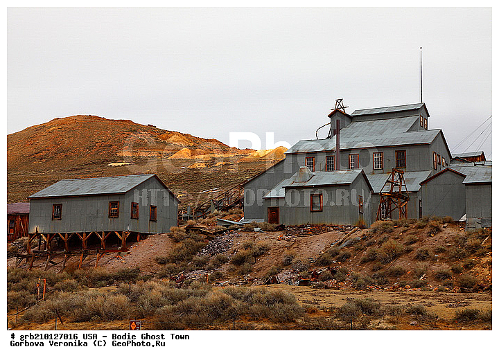 ����, ������� ���������, ����������, ����, ���, ������ ������, �����-�������, ������������