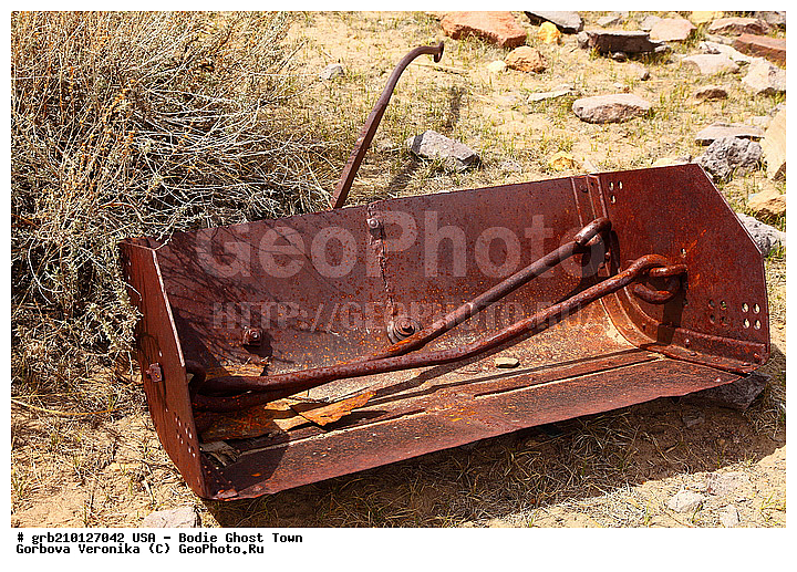 ����, ������� ���������, ����������, ����, ���, ������ ������, �����-�������, ������������