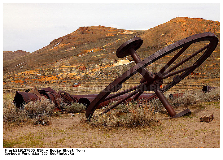 ����, ������� ���������, ����������, ����, ���, ������ ������, �����-�������, ������������