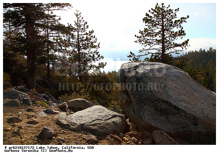 ����������, ����� ����, ���