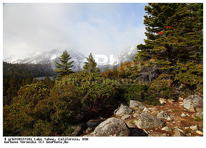 ����������, ����� ����, ���