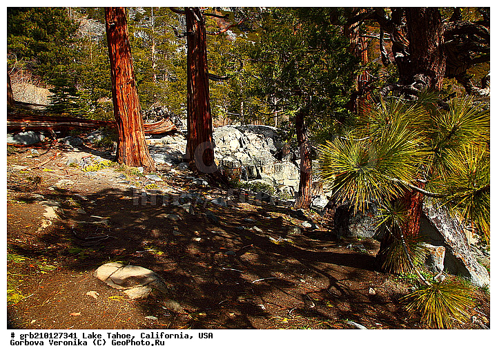 ����������, ����� ����, ���