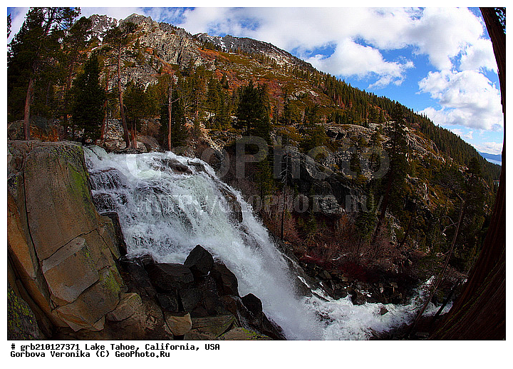 ����������, ����� ����, ���