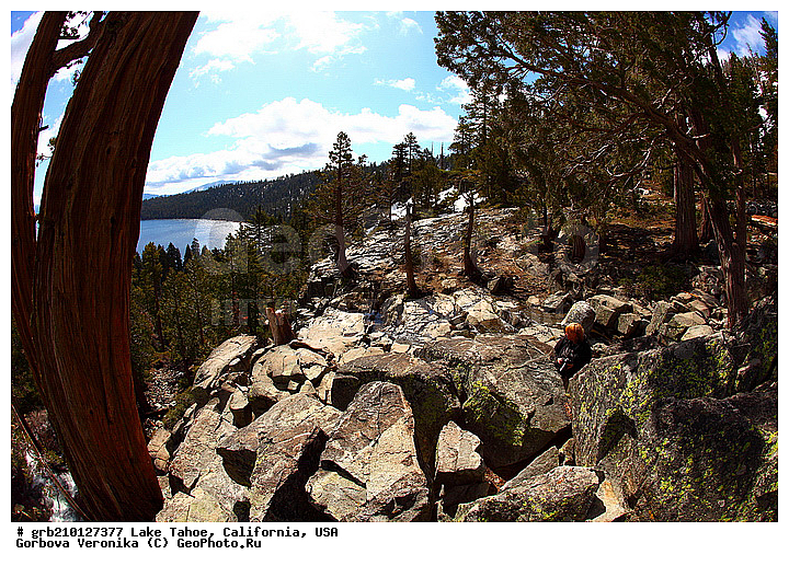 ����������, ����� ����, ���