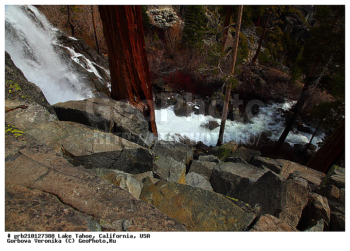 ����������, ����� ����, ���