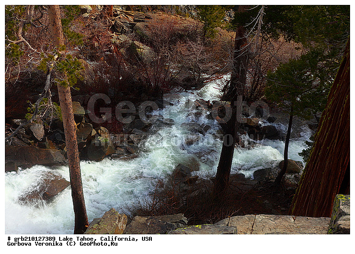 ����������, ����� ����, ���