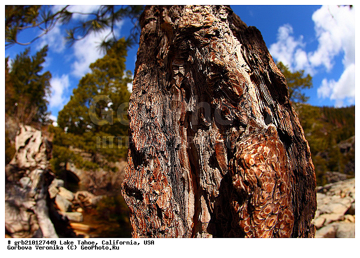 ����������, ����� ����, ���