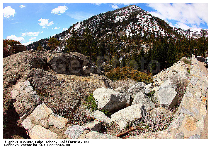 ����������, ����� ����, ���