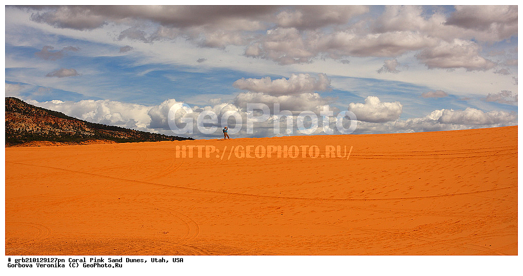 Coral Pink, ������, ����, �����, �������� ����, �������