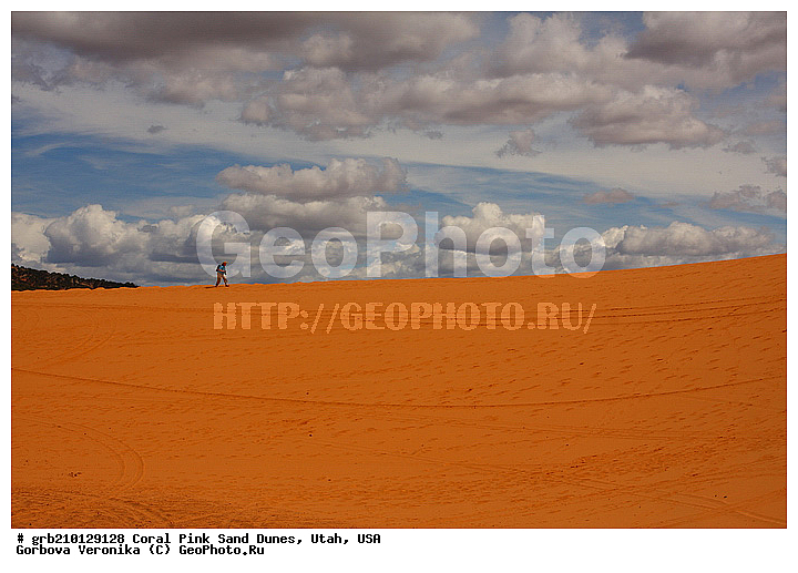 Coral Pink, ������, ����, �����, �������� ����, �������