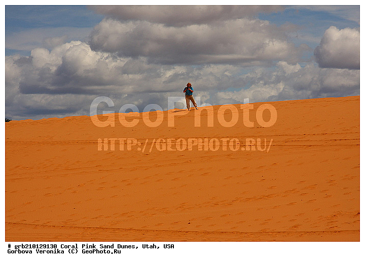 Coral Pink, ������, ����, �����, �������� ����, �������