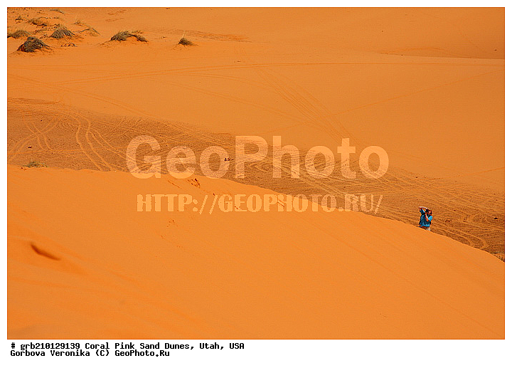 Coral Pink, ������, ����, �����, �������� ����, �������