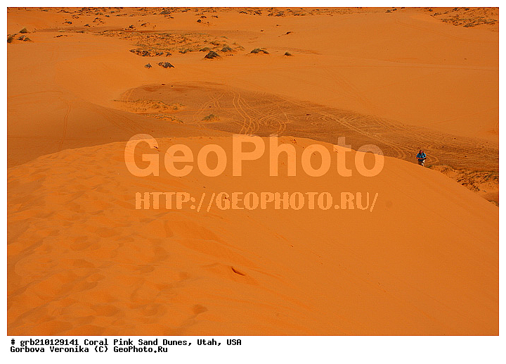 Coral Pink, ������, ����, �����, �������� ����, �������