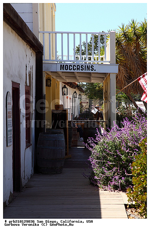 ����������, ���-�����, ������ �����