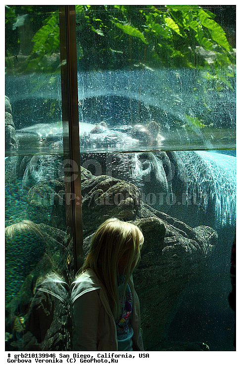 �������, ����������, ���-�����