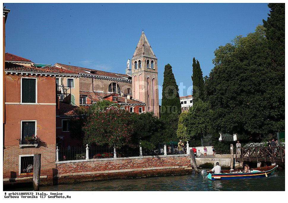 ������, �������