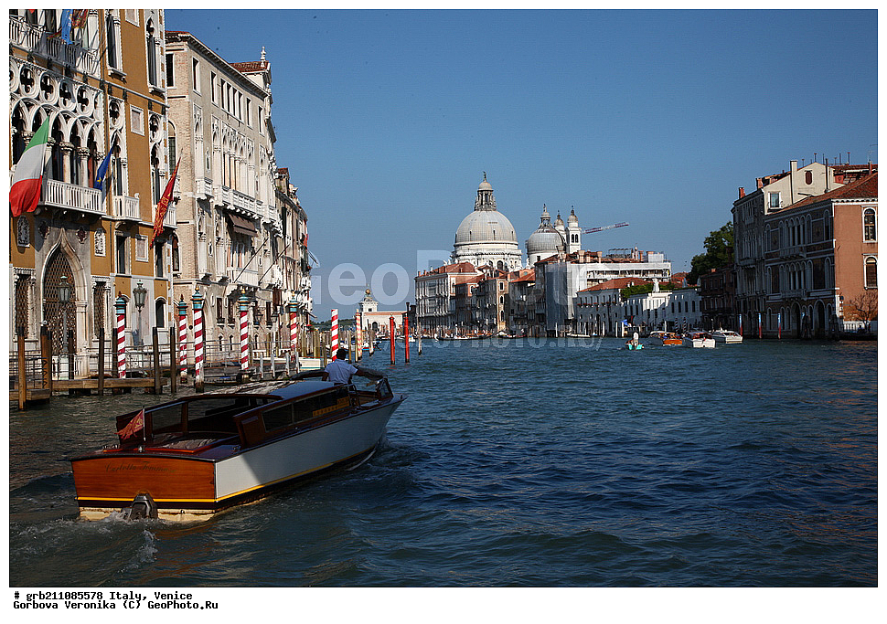 ������, �������